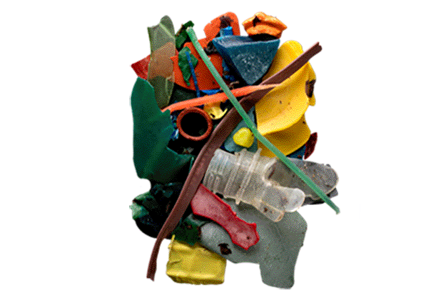 Recuperamos el alma de los oceanos